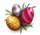 Datei:Eggs2.png